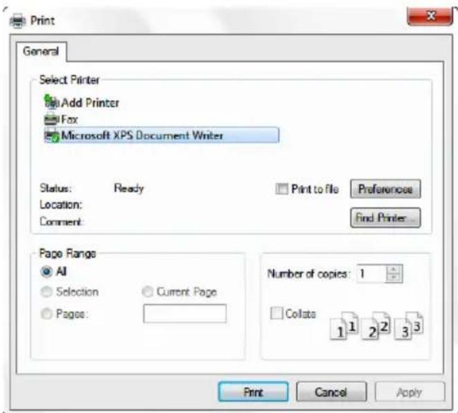 TOSHIBA Mini NB250 - Printing your work - 3