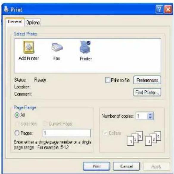 TOSHIBA Portege M100 - Printing your work - 2