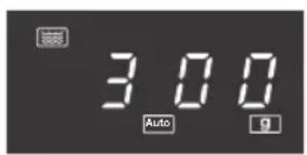 ETNA SM225RVS - Automatic programs - 2