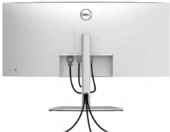 DELL UltraSharp 38 - Kabel verlegen - 1