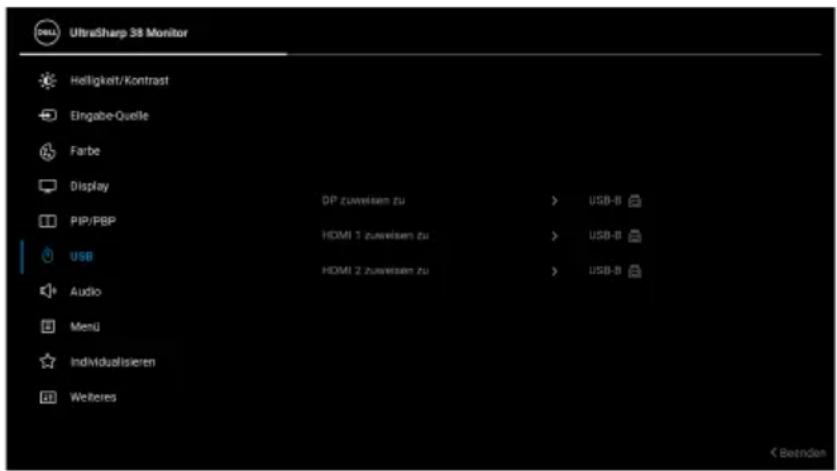 DELL UltraSharp 38 - PIP/PBP-Modus - 6