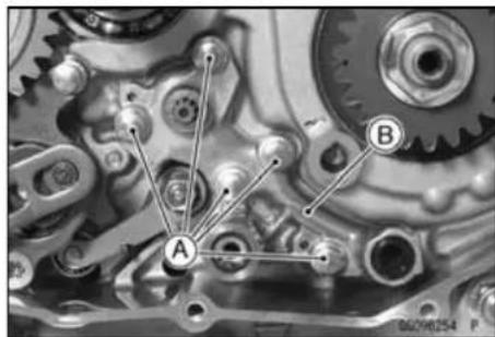 KAWASAKI KLX450R (2011) - Oil Pump (Feed) Removal - 2