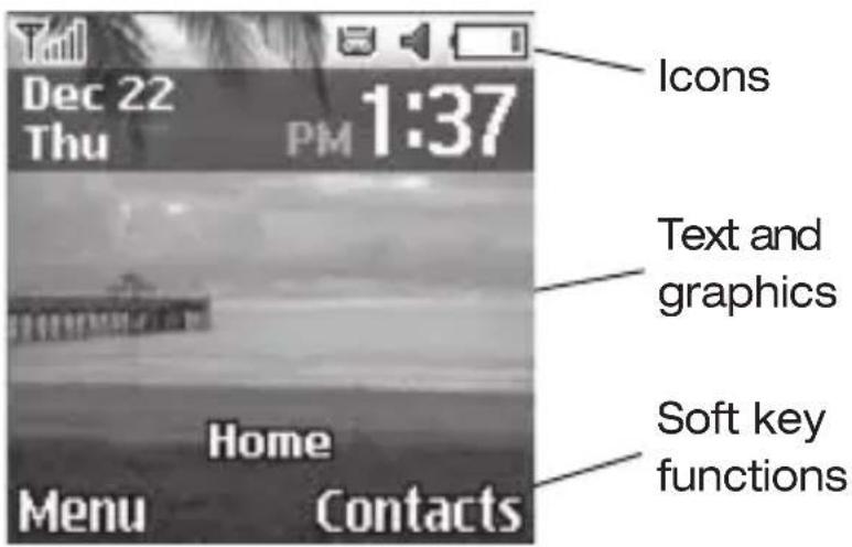 SAMSUNG SGH-S125G - Main Display Layout - 1