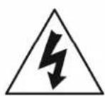 Parasound ZoneMaster 12 - THE FOLLOWING PRECAUTIONS AND SAFETY INSTRUCTIONS ARE REQUIREMENTS OF UL AND CSA SAFETY REGULATIONS - 2