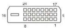 SONY VPL-FHZ131 - DVI-D terminal (DVI-D, female) - 1