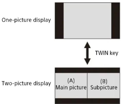 SONY VPL-FHZ131 - Projecting Images with Two Pictures Simultaneously (Two-Picture Display Function) - 1