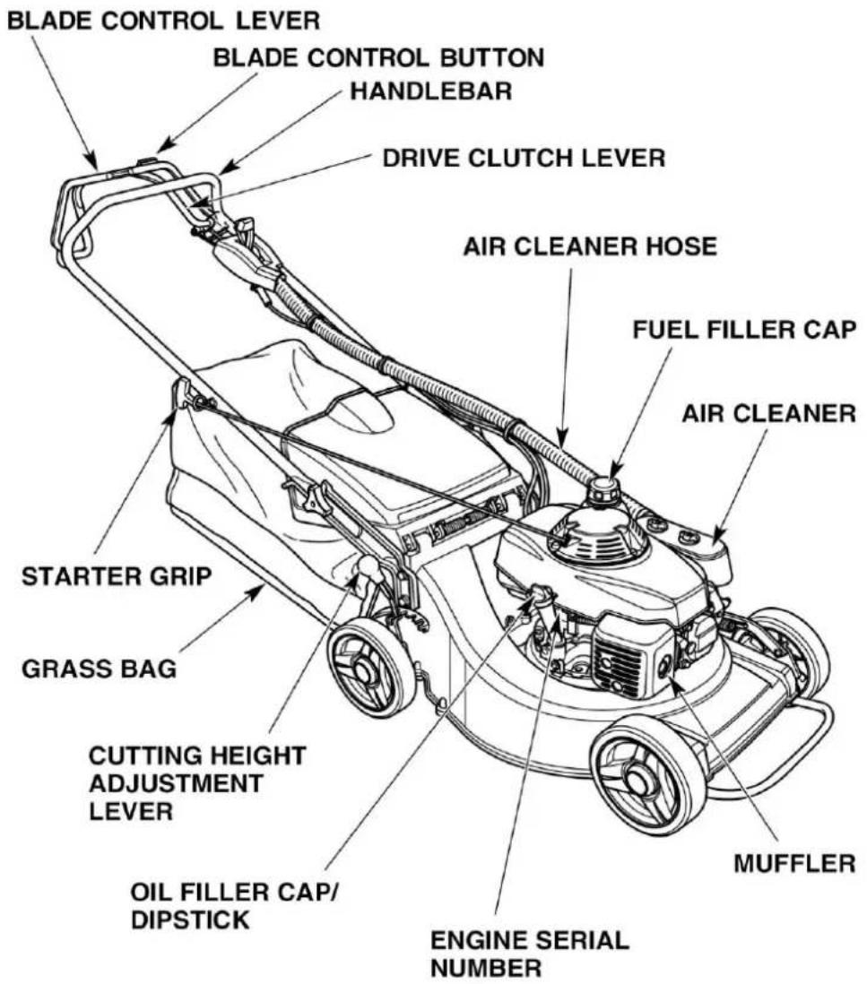Honda Buffalo Buck HRU19K1 - COMPONENT IDENTIFICATION - 1