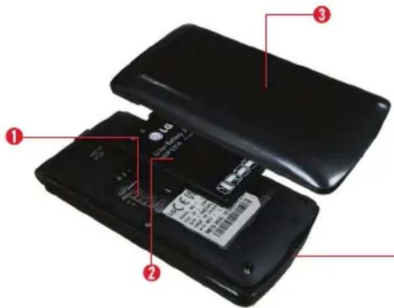 LG Terra - Rear view - 1