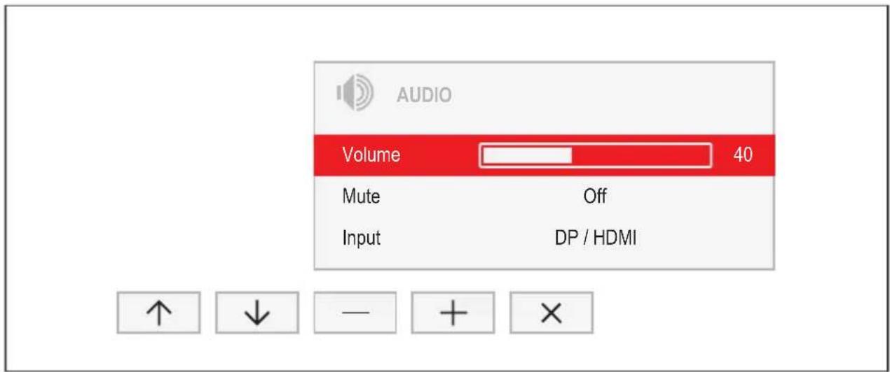 AUDIO Volume 40 Mute Off Input DP / HDMI ↑ ↓ — + ×