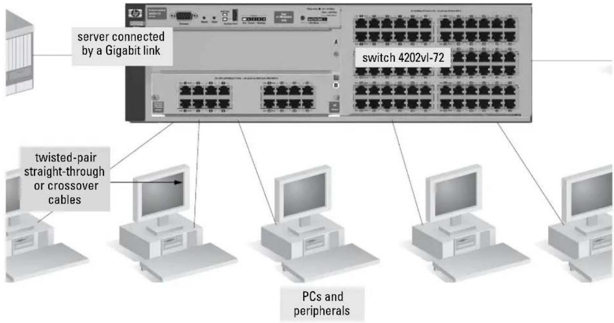 server connected by a Gigabit link switch 4202vl-72 twisted-pair straight-through or crossover cables PCs and peripherals