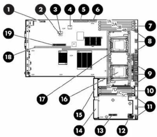 HP ProLiant DL365 G5 - System board components - 1