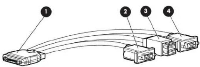 HP ProLiant BL280c G6 - HP c-Class Blade SUV Cable - 1