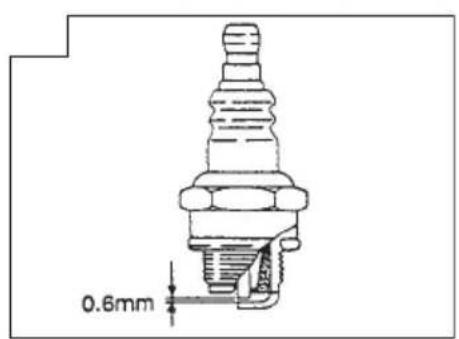 0.6mm