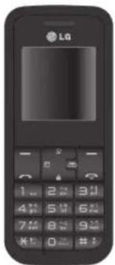 LG GS100 - 1