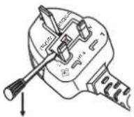 PANASONIC PT-CW240 - IMPORTANT: THE MOULDED PLUG (U.K. only) - 1