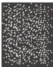 HP LaserJet 4350TN - White spots on black - 1