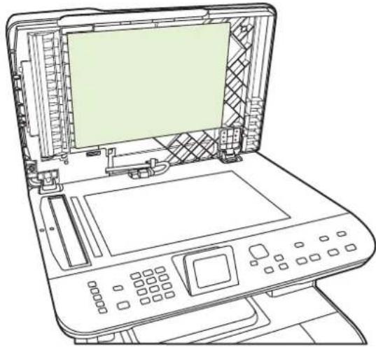 HP Color LaserJet CM2320n - Clean the lid backing - 1