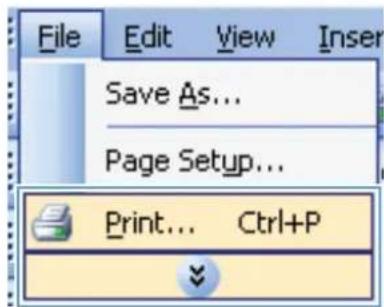 HP Color LaserJet Enterprise CP4525xh - Select page orientation with Windows - 1