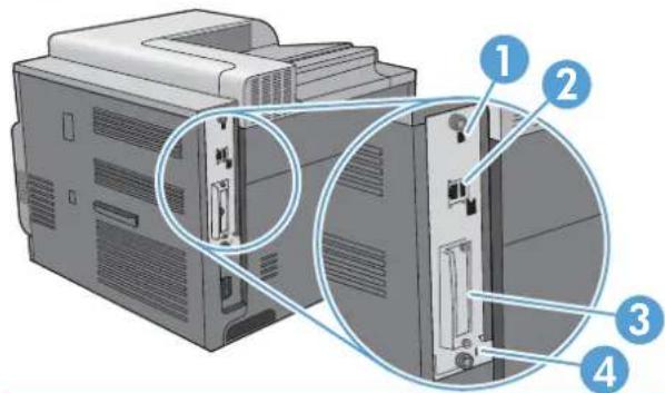 HP Color LaserJet Enterprise CP4525xh - Back view - 2