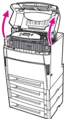 HP Color LaserJet 5550hdn - Multiple jams in duplex path - 1