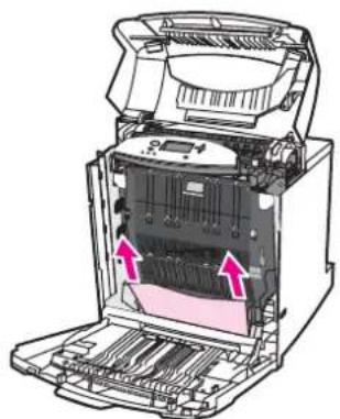 HP Color LaserJet 5550hdn - Jam in duplex path - 4
