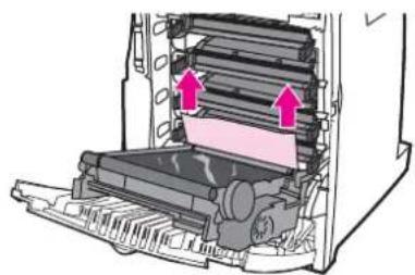 HP Color LaserJet 5550hdn - Jam in duplex path - 6