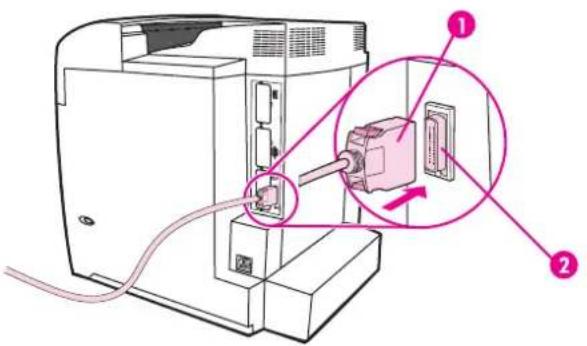 HP Color LaserJet 5550hdn - Parallel configuration - 1