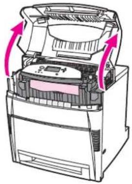 HP Color LaserJet 5550hdn - Jam in duplex path - 1