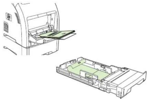 HP Color LaserJet 3600N - Automatic 2-sided printing - 2