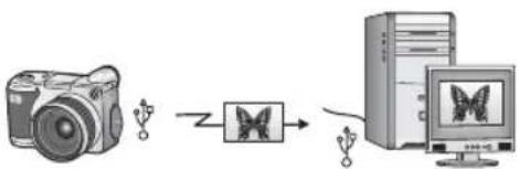 HP PSC 1610v - Transfer photos using a Windows computer - 2