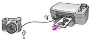 HP PSC 1610v - Print photos using a Windows computer - 1