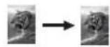 HP PSC 1610v - Use the copy features - 2