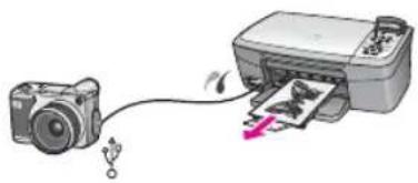 HP PSC 1610v - Print photos using a Macintosh - 1