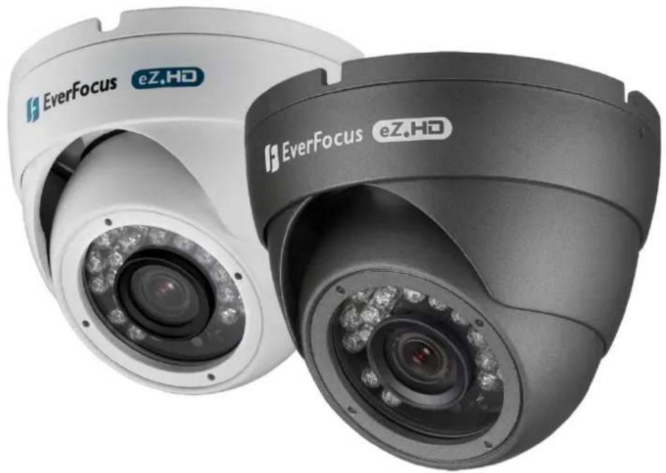 EverFocus EBD930F - True Day/Night Outdoor IR Ball Camera - 1