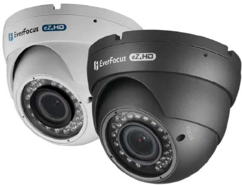 EverFocus EBD935F - True Day/Night Outdoor IR Ball Camera - 1