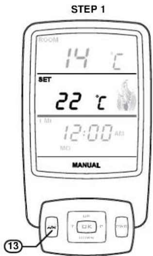 Rinnai Sapphire Gas Log Fire - Manual Temperature Mode - 1