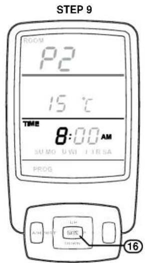 Rinnai Sapphire Gas Log Fire - PROGRAMMING OF PROGRAM MODES - 10