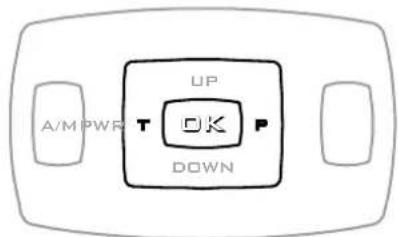 Rinnai Sapphire Gas Log Fire - Additional information about Remote Thermostat Control Operation - 2