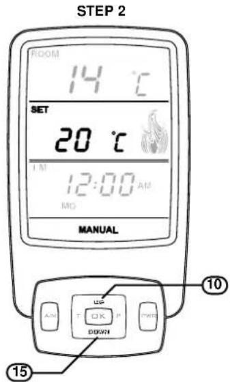 Rinnai Sapphire Gas Log Fire - Manual Temperature Mode - 2