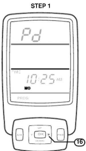 Rinnai Sapphire Gas Log Fire - PROGRAMMING OF PROGRAM MODES - 1