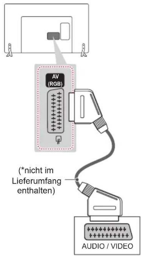 LG 22LY340C - Euro-Scart-Anschluss - 1