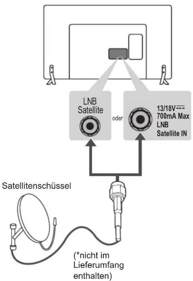 LG 22LY340C - Anschließen einer Satellitenschüssel - 1