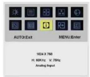 ACER Value AL1916As - Auto Config: - 1
