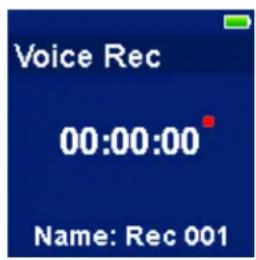Voice Rec 00:00:00 Name: Rec 001