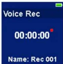 Voice Rec 00:00:00 Name: Rec 001