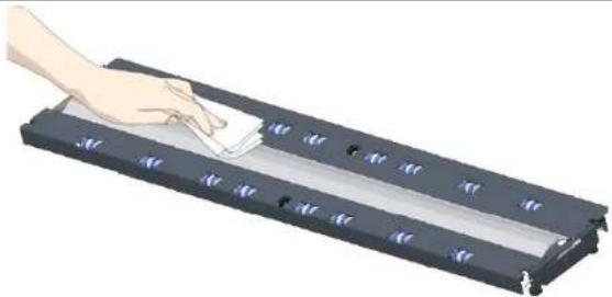 Contex HD3650 - Clean the white-background platen and rollers - 1