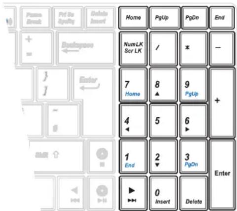 ASUS N50 - Extended Keyboard - 1