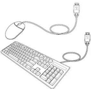 ASUS N50 - USB Keyboard and Mouse - 2