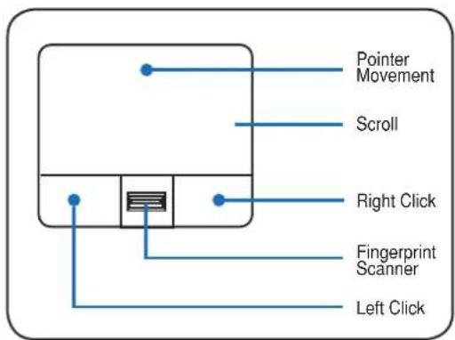 ASUS N50 - Moving The Pointer - 1