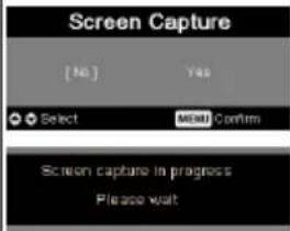 ACER P3150 - Management setting - 2